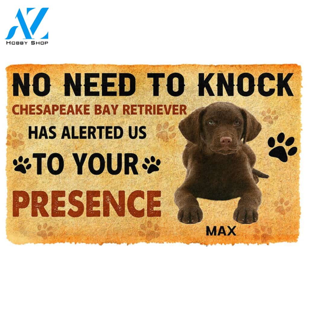 3D No Need To Knock Chesapeake Bay Retriever Dog Custom Name Doormat | Welcome Mat | House Warming Gift
