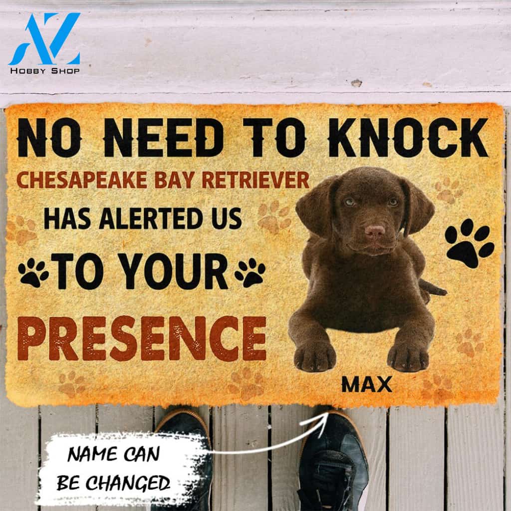 3D No Need To Knock Chesapeake Bay Retriever Dog Custom Name Doormat | Welcome Mat | House Warming Gift