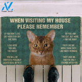 3D Please Remember Abyssinian Cats House Rules Doormat | Welcome Mat | House Warming Gift