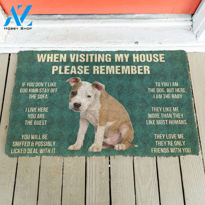 3D Please Remember American Staffordshire Terrier Puppy Dogs House Rules Custom Doormat | Welcome Mat | House Warming Gift