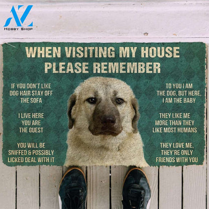 3D Please Remember Anatolian Shepherd Dogs House Rules Custom Doormat | Welcome Mat | House Warming Gift