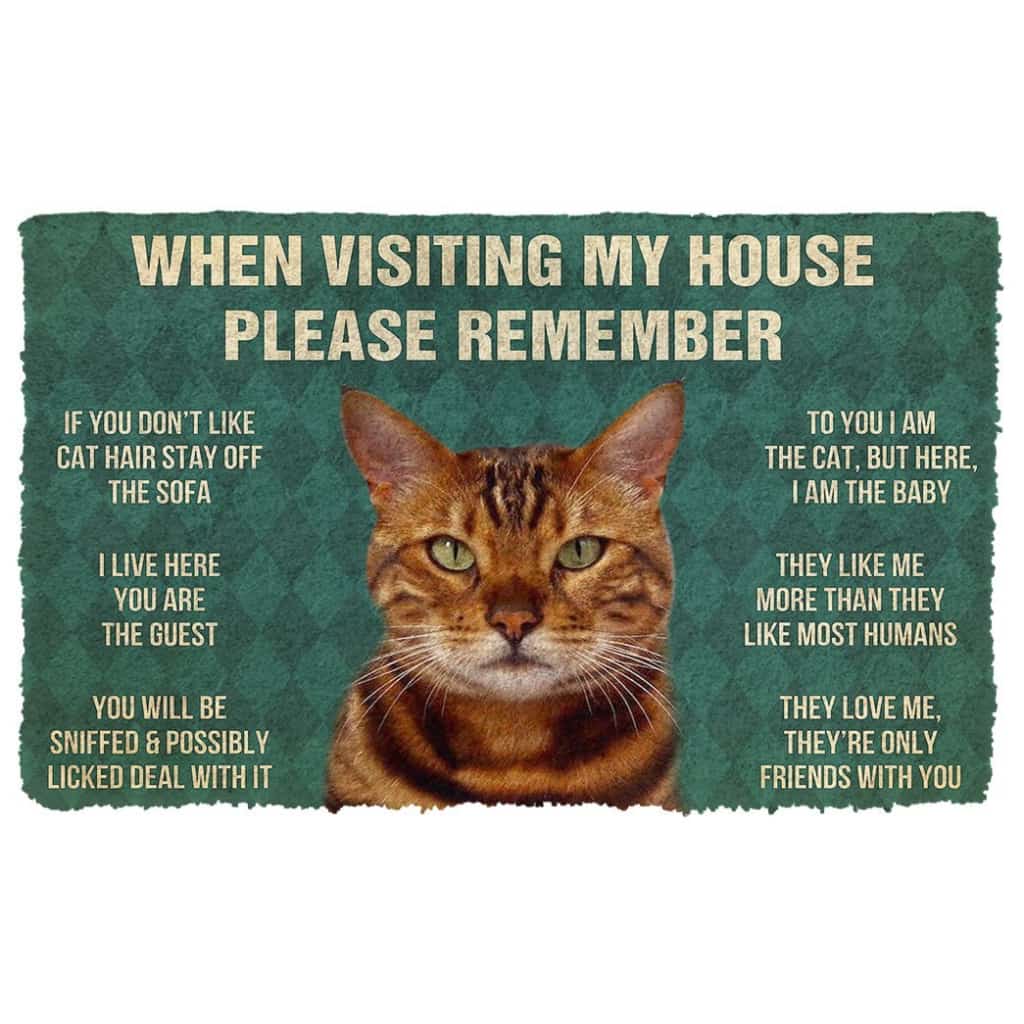 3D Please Remember Bengal Cat House Rules Doormat