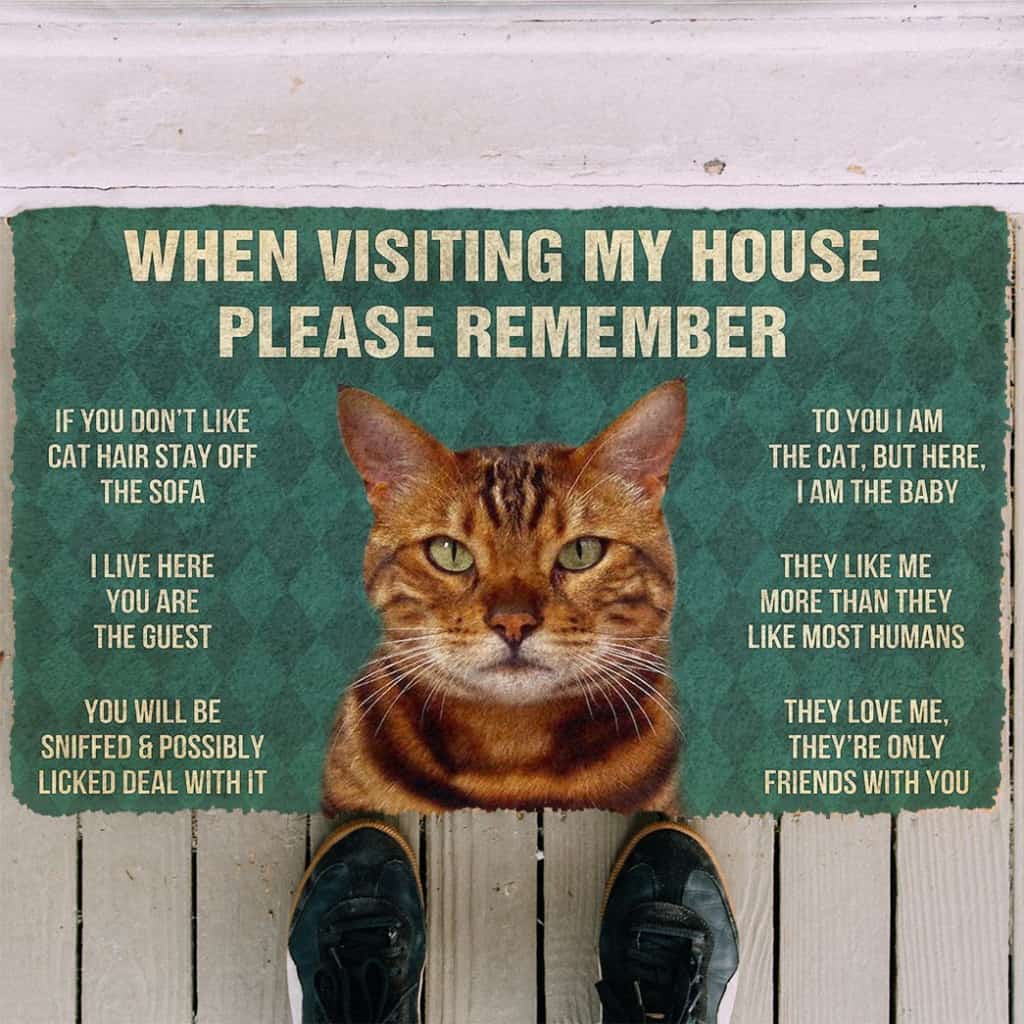 3D Please Remember Bengal Cat House Rules Doormat