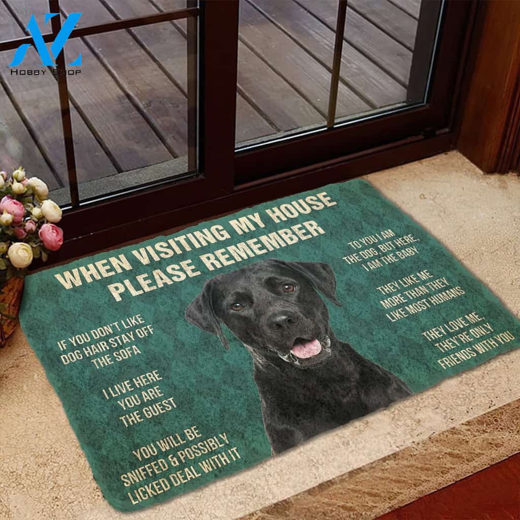 3D Please Remember Black Labrador Retrievers House Rule Custom Doormat | Welcome Mat | House Warming Gift