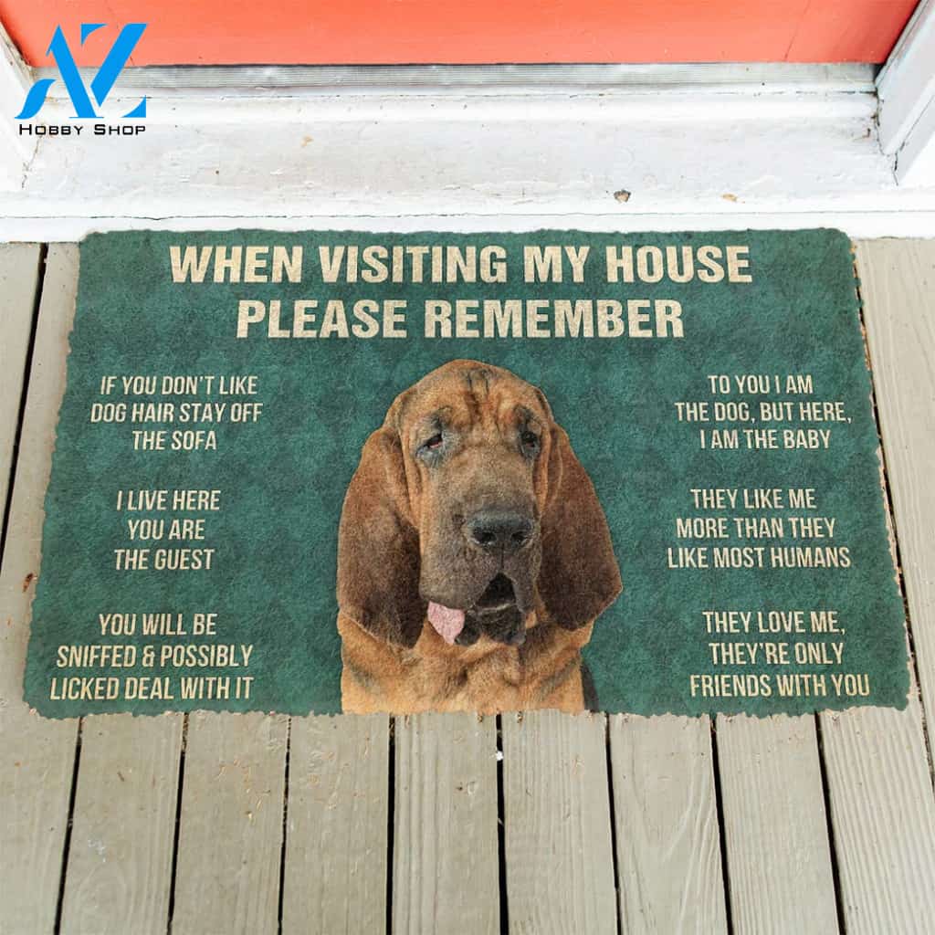 3D Please Remember Bloodhound Dogs House Rules Custom Doormat | Welcome Mat | House Warming Gift