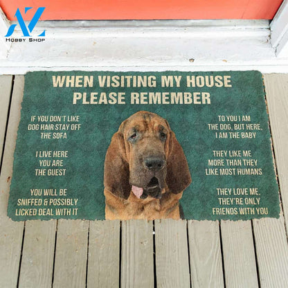 3D Please Remember Bloodhound Dogs House Rules Custom Doormat | Welcome Mat | House Warming Gift