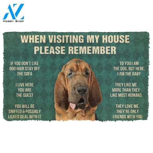 3D Please Remember Bloodhound Dogs House Rules Custom Doormat | Welcome Mat | House Warming Gift