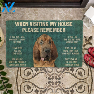 3D Please Remember Bloodhound Dogs House Rules Custom Doormat | Welcome Mat | House Warming Gift