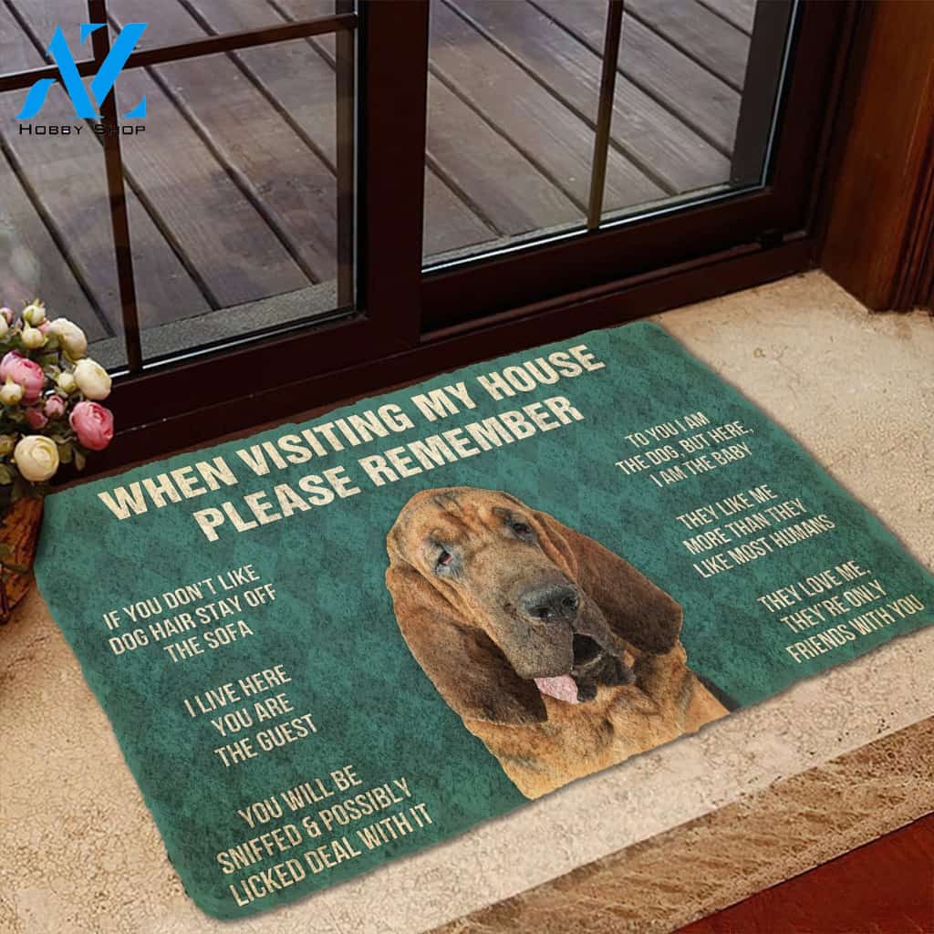 3D Please Remember Bloodhound Dogs House Rules Custom Doormat | Welcome Mat | House Warming Gift