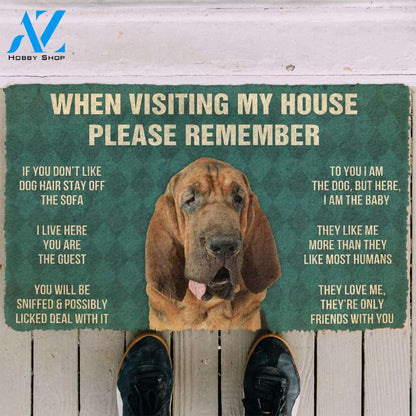 3D Please Remember Bloodhound Dogs House Rules Custom Doormat | Welcome Mat | House Warming Gift
