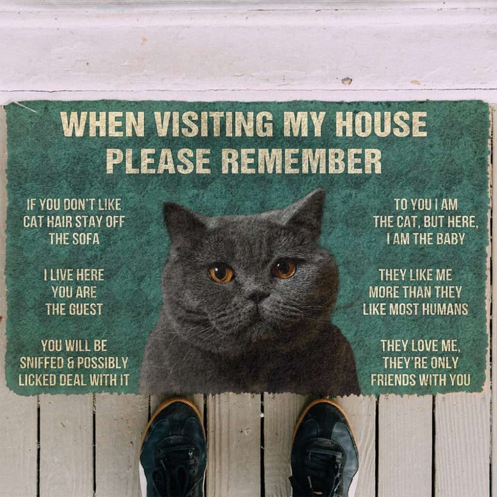 3D Please Remember British Shorthair Cat House Rules Doormat