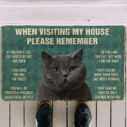 3D Please Remember British Shorthair Cat House Rules Doormat
