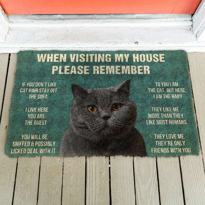 3D Please Remember British Shorthair Cat House Rules Doormat