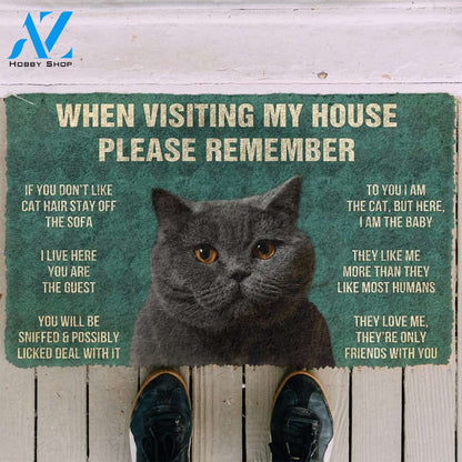 3D Please Remember British Shorthair Cat House Rules Doormat | Welcome Mat | House Warming Gift