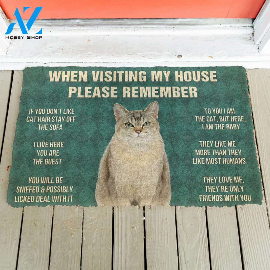 3D Please Remember Burmilla Cats House Rules Custom Doormat | Welcome Mat | House Warming Gift