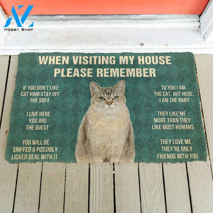 3D Please Remember Burmilla Cats House Rules Custom Doormat | Welcome Mat | House Warming Gift