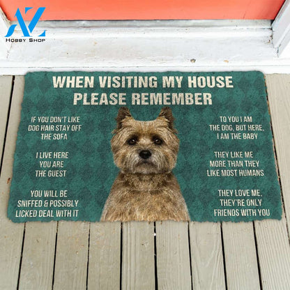 3D Please Remember Cairn Terrier Dogs House Rules Custom Doormat | Welcome Mat | House Warming Gift