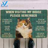 3D Please Remember Calico Cat House Rules Doormat | Welcome Mat | House Warming Gift