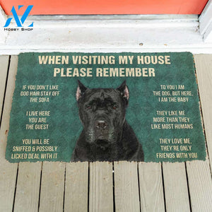 3D Please Remember Cane Corso Dogs House Rules Custom Doormat | Welcome Mat | House Warming Gift