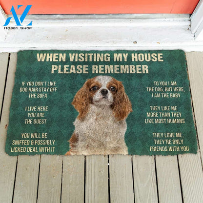 3D Please Remember Cavalier King Charles Spaniel Dogs House Rules Custom Doormat | Welcome Mat | House Warming Gift