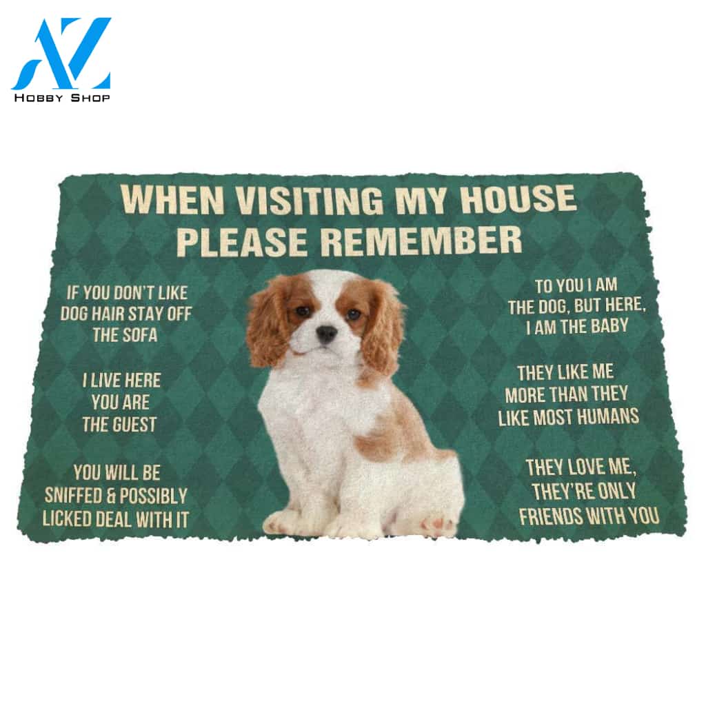 3D Please Remember Cavalier King Charles Spaniel Dogs Puppy Dogs House Rules Custom Doormat | Welcome Mat | House Warming Gift
