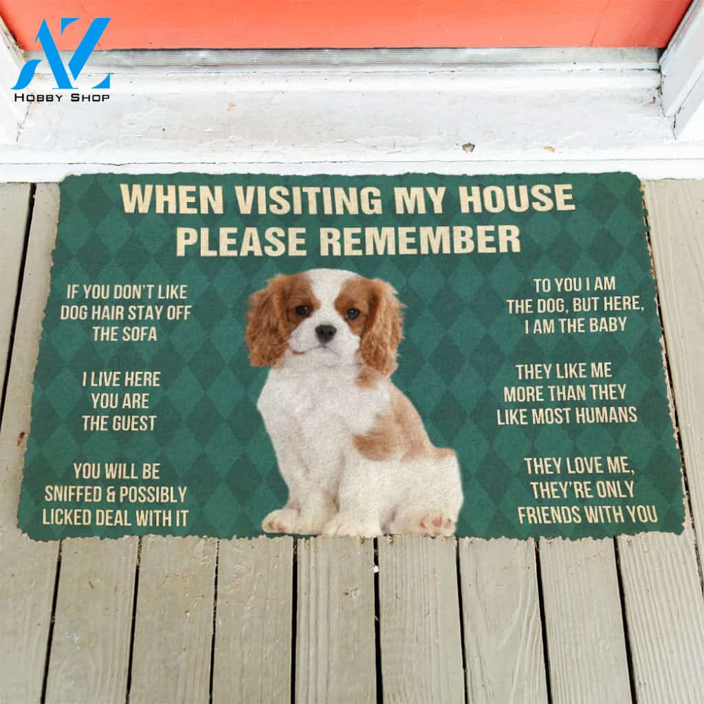 3D Please Remember Cavalier King Charles Spaniel Dogs Puppy Dogs House Rules Custom Doormat | Welcome Mat | House Warming Gift