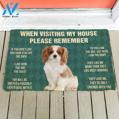 3D Please Remember Cavalier King Charles Spaniel Dogs Puppy Dogs House Rules Custom Doormat | Welcome Mat | House Warming Gift