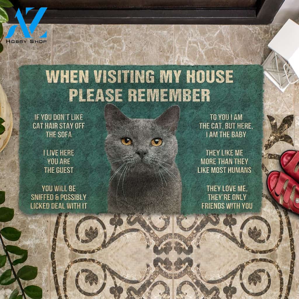 3D Please Remember Chartreux Cats House Rules Custom Doormat | Welcome Mat | House Warming Gift
