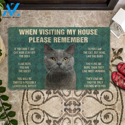 3D Please Remember Chartreux Cats House Rules Custom Doormat | Welcome Mat | House Warming Gift