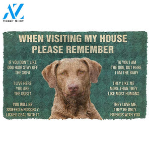 3D Please Remember Chesapeake Bay Retriever Dogs House Rules Custom Doormat | Welcome Mat | House Warming Gift