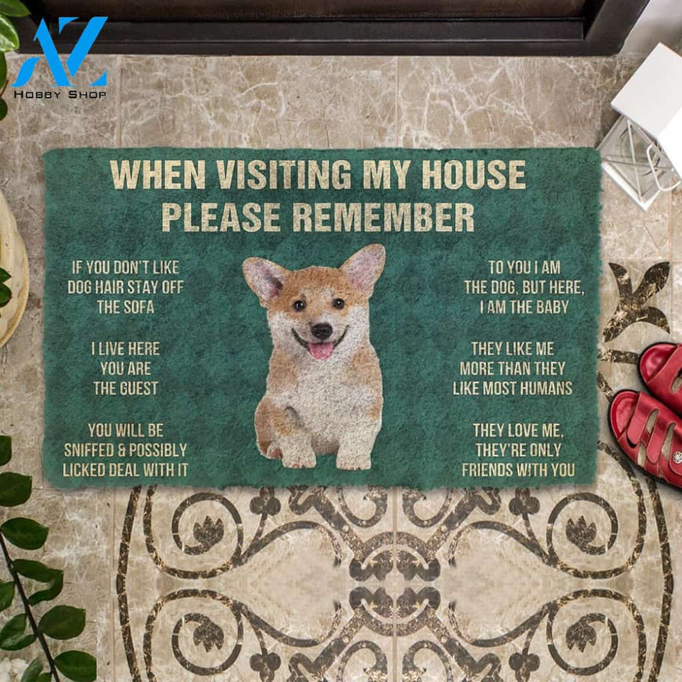 3D Please Remember Corgi Puppy Dogs House Rules Custom Doormat | Welcome Mat | House Warming Gift