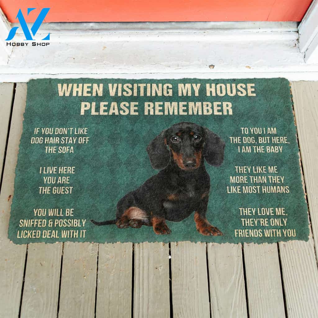 3D Please Remember Dachshunds Puppy Dogs House Rules Custom Doormat | Welcome Mat | House Warming Gift