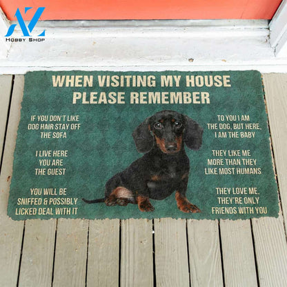 3D Please Remember Dachshunds Puppy Dogs House Rules Custom Doormat | Welcome Mat | House Warming Gift