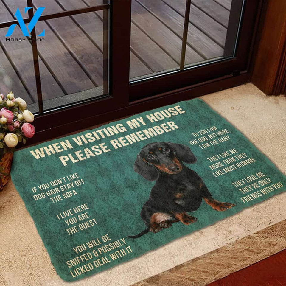 3D Please Remember Dachshunds Puppy Dogs House Rules Custom Doormat | Welcome Mat | House Warming Gift