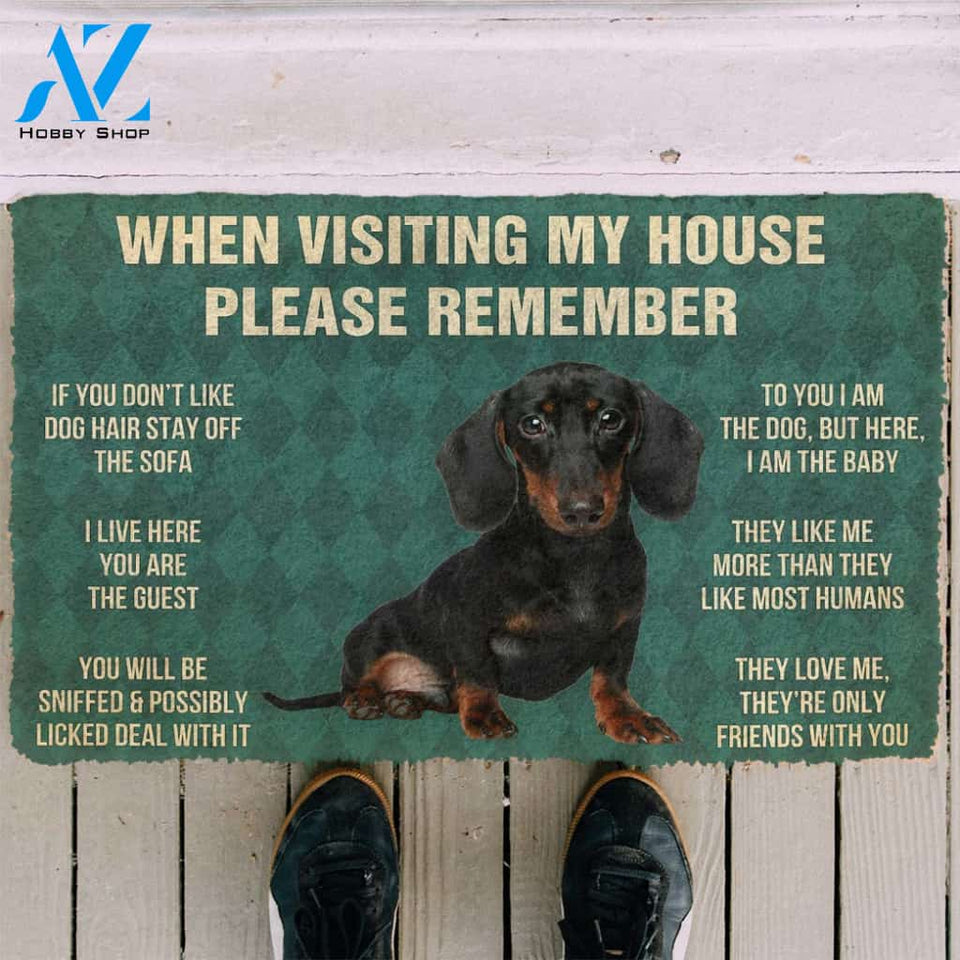 3D Please Remember Dachshunds Puppy Dogs House Rules Custom Doormat | Welcome Mat | House Warming Gift