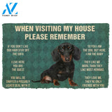 3D Please Remember Dachshunds Puppy Dogs House Rules Custom Doormat | Welcome Mat | House Warming Gift