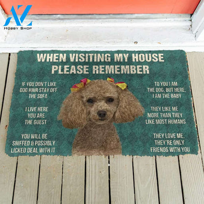3D Please Remember Dog House Rules Custom Doormat | Welcome Mat | House Warming Gift