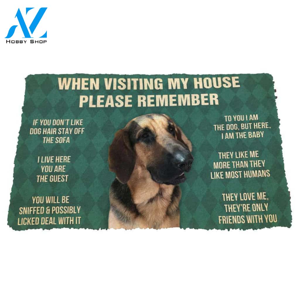 3D Please Remember Dog House Rules Custom Doormat | Welcome Mat | House Warming Gift