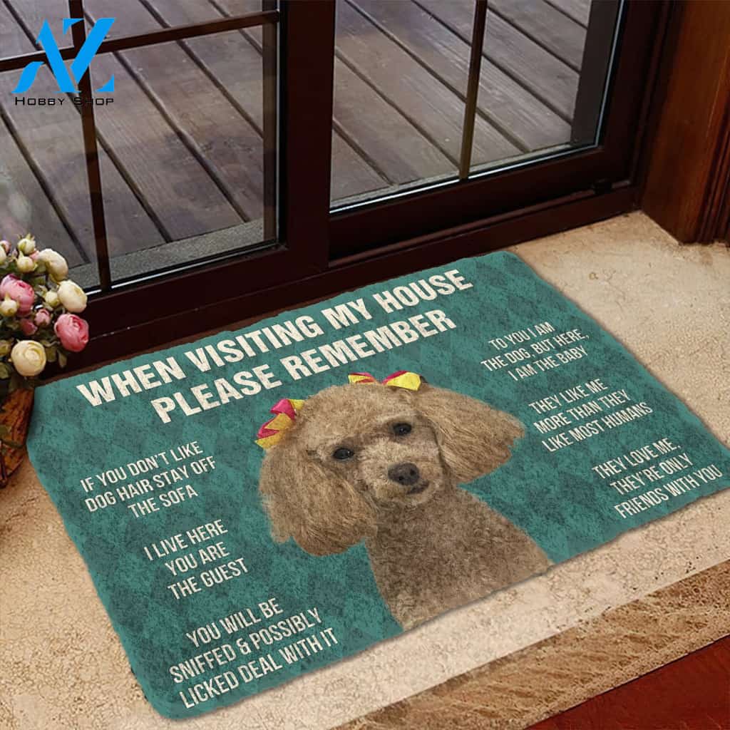 3D Please Remember Dog House Rules Custom Doormat | Welcome Mat | House Warming Gift