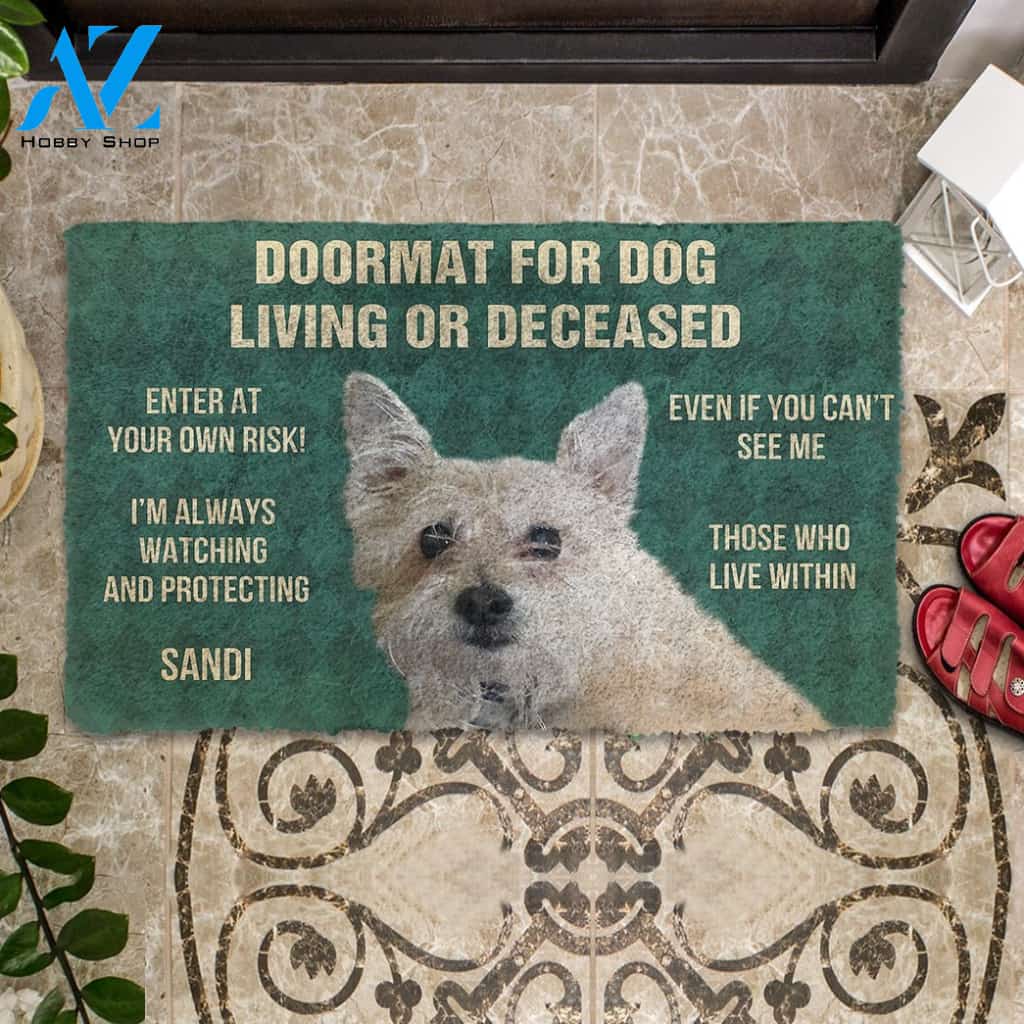 3D Please Remember Dogs House Rules Custom Doormat | Welcome Mat | House Warming Gift