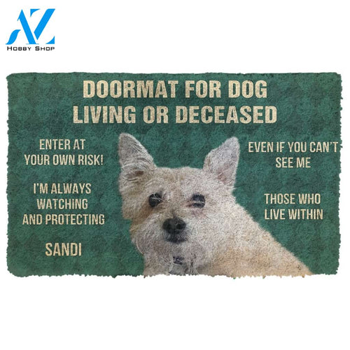 3D Please Remember Dogs House Rules Custom Doormat | Welcome Mat | House Warming Gift