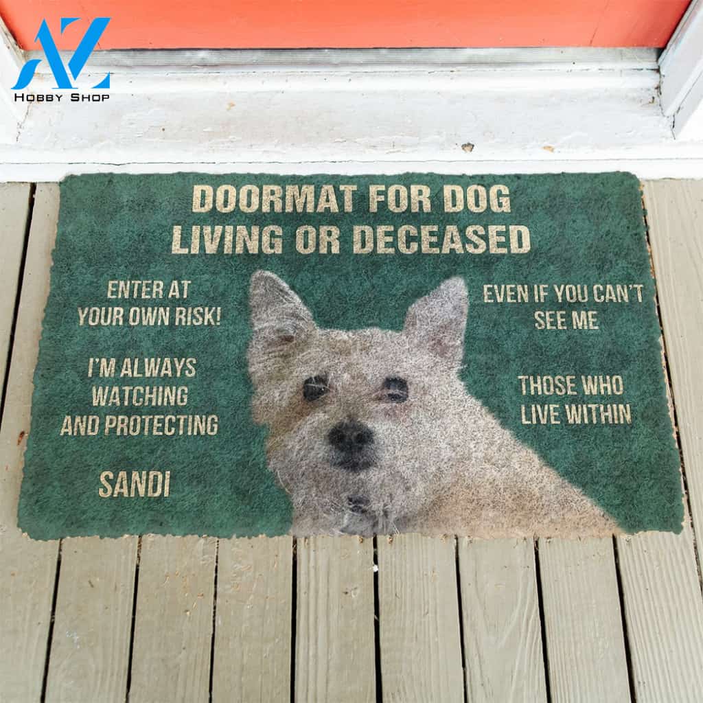 3D Please Remember Dogs House Rules Custom Doormat | Welcome Mat | House Warming Gift