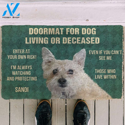 3D Please Remember Dogs House Rules Custom Doormat | Welcome Mat | House Warming Gift
