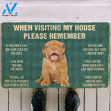 3D Please Remember Dogue de Bordeaux Puppy Dogs House Rules Custom Doormat | Welcome Mat | House Warming Gift