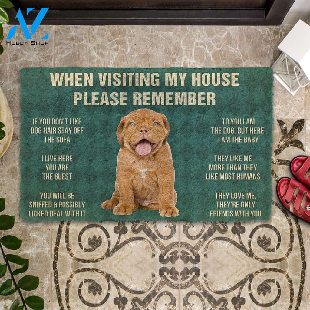 3D Please Remember Dogue de Bordeaux Puppy Dogs House Rules Custom Doormat | Welcome Mat | House Warming Gift