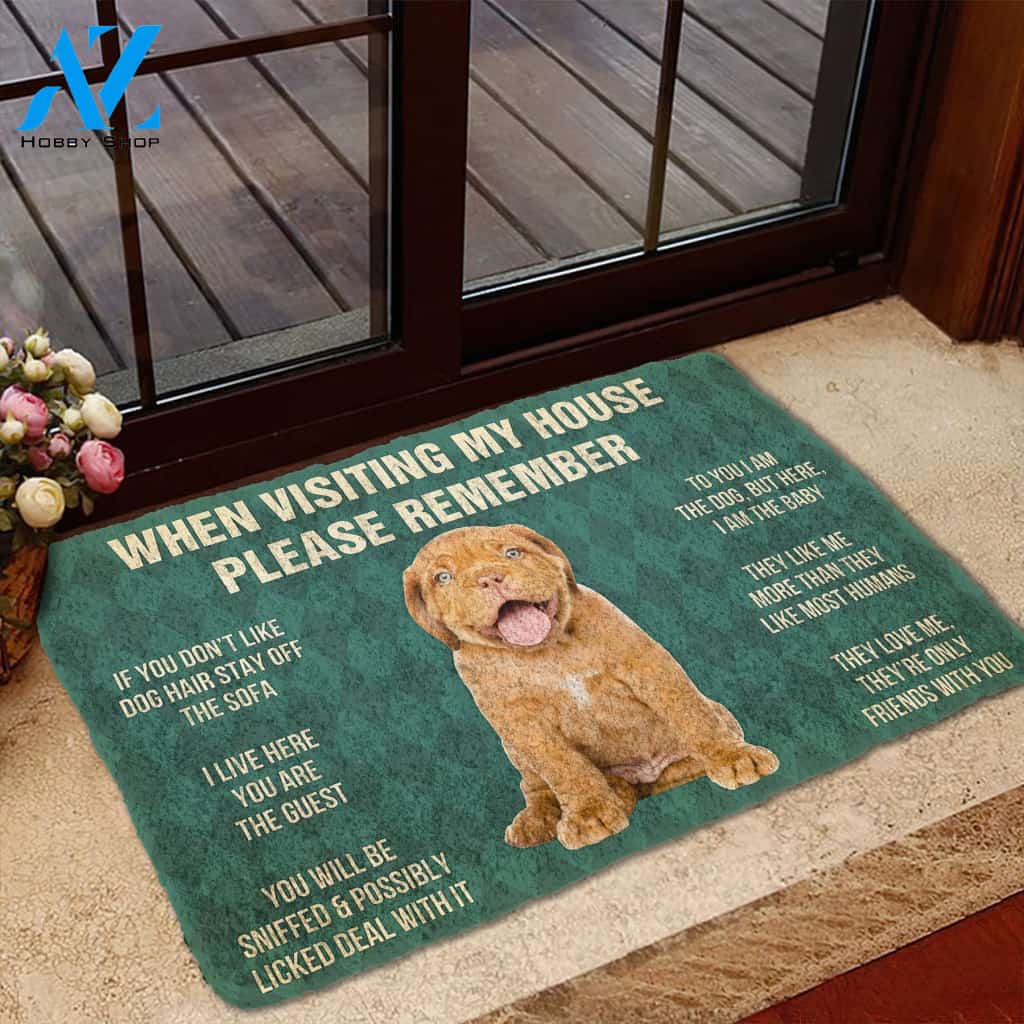 3D Please Remember Dogue de Bordeaux Puppy Dogs House Rules Custom Doormat | Welcome Mat | House Warming Gift