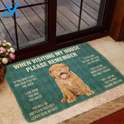 3D Please Remember Dogue de Bordeaux Puppy Dogs House Rules Custom Doormat | Welcome Mat | House Warming Gift