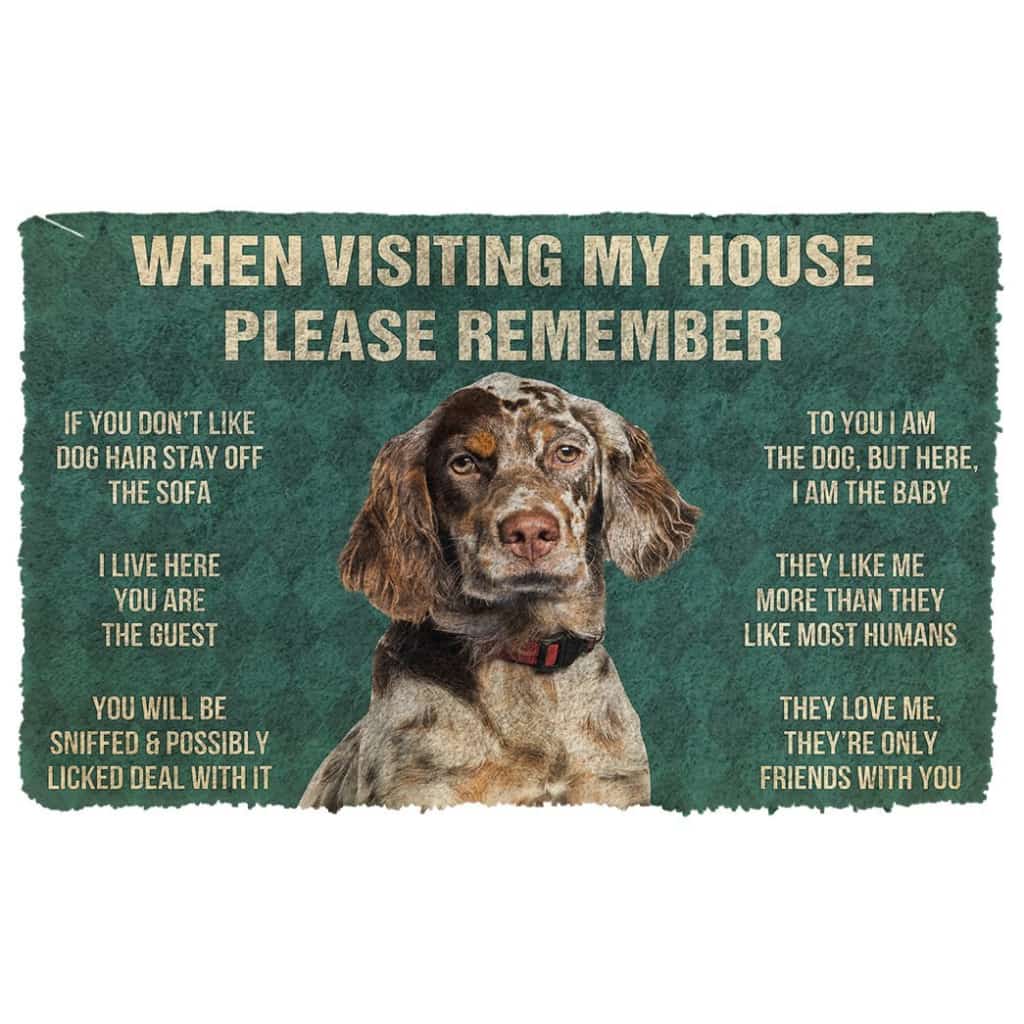 3D Please Remember English Setter Dogs House Rules Doormat