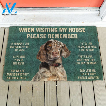 3D Please Remember English Setter Dogs House Rules Doormat | Welcome Mat | House Warming Gift