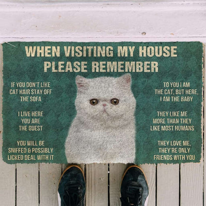 3D Please Remember Exotic Shorthair Cats House Rules Doormat